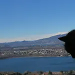 La Nuova Tinara Frühstückspension Galbiate
