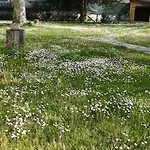 Frühstückspension La Nuova Tinara *