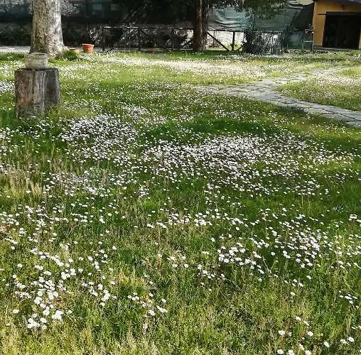 Frühstückspension La Nuova Tinara *